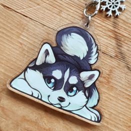 Présentation husky