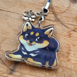 Présentation shiba noir 1