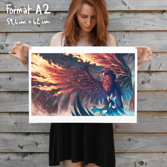 Poster • Anivia Volcanique – Image 2
