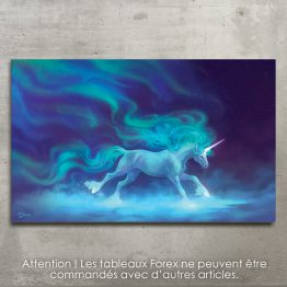 Licorne Aurore1
