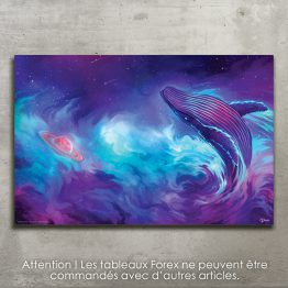 baleine1
