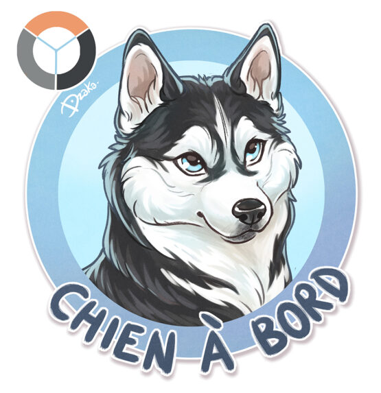Sticker Auto • Husky • 3 variations de couleurs