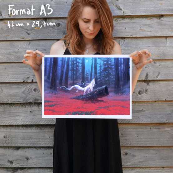 Poster • Lueur Nocturne – Image 4