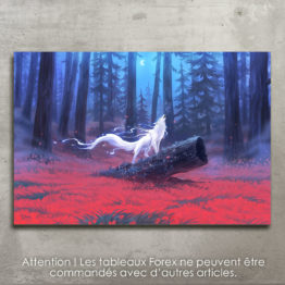 lueurnocturne1