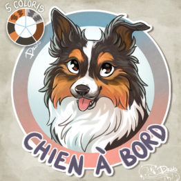 border collie chroma2