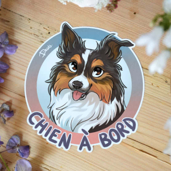 Sticker Auto • Border Collie • 5 Coloris – Image 2