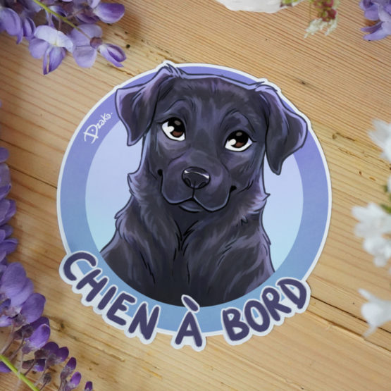 Sticker Auto • Labrador • 3 Coloris – Image 6