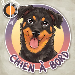 beauceron chroma