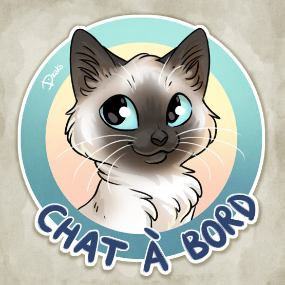 Sticker Auto • Chats • 10 Coloris – Image 11