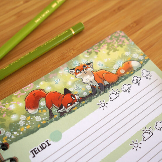 Agenda • Renards 4 Saisons – Image 8