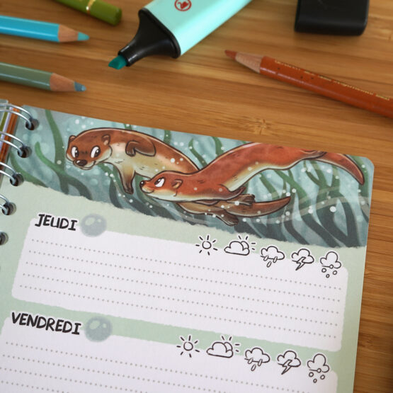 Agenda • Loutres – Image 4