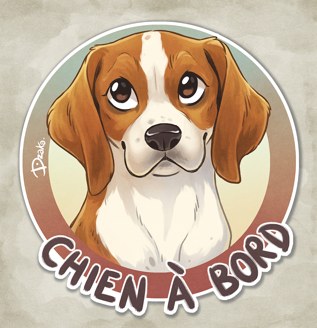 beagle chien a bord