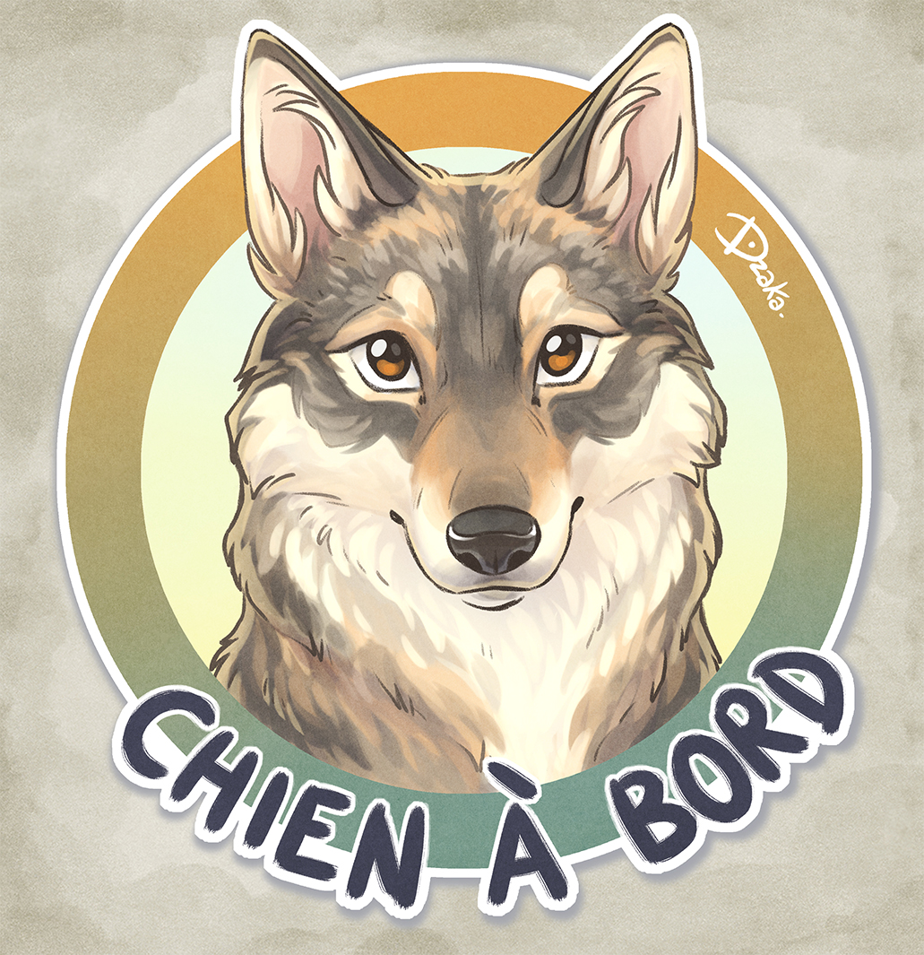 chien loup tcheque chien a bord