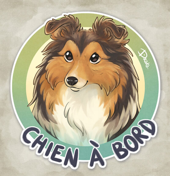Sticker Auto • Berger des Shetland • 6 Coloris