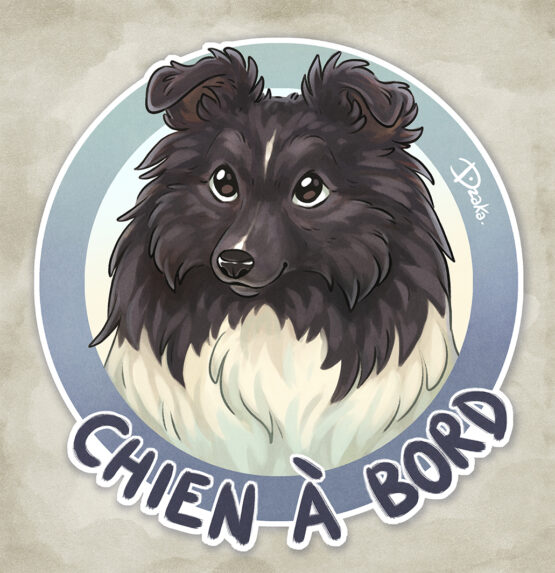 Sticker Auto • Berger des Shetland • 6 Coloris – Image 4