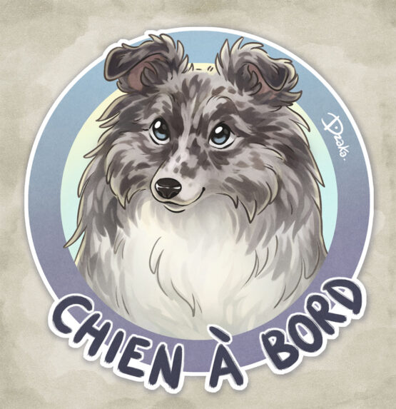 Sticker Auto • Berger des Shetland • 6 Coloris – Image 6