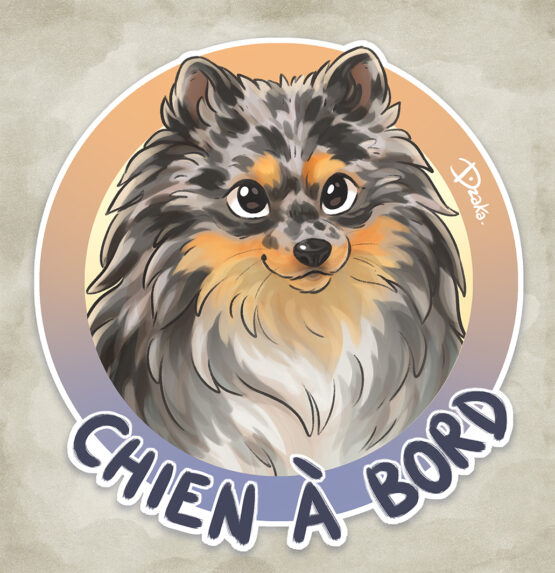 Sticker Auto • Spitz • 5 Coloris – Image 4
