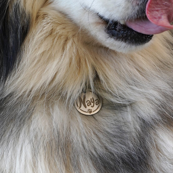 Médaille Ronde • 4 coloris – Image 6