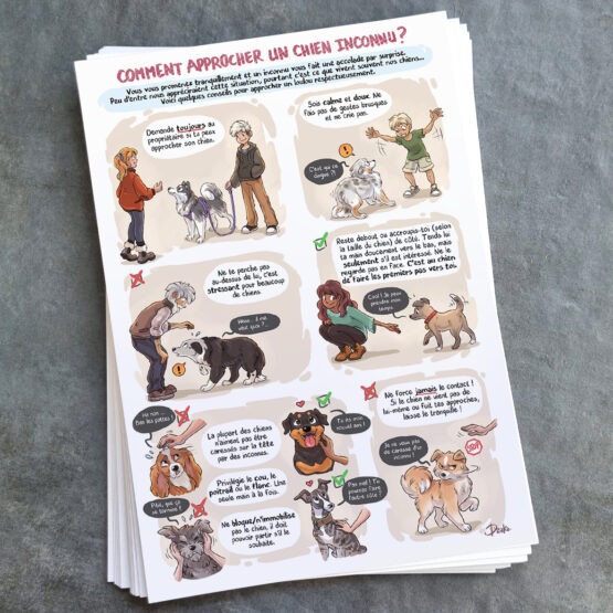 Fiche A4 • Comment Approcher Un Chien Inconnu ?
