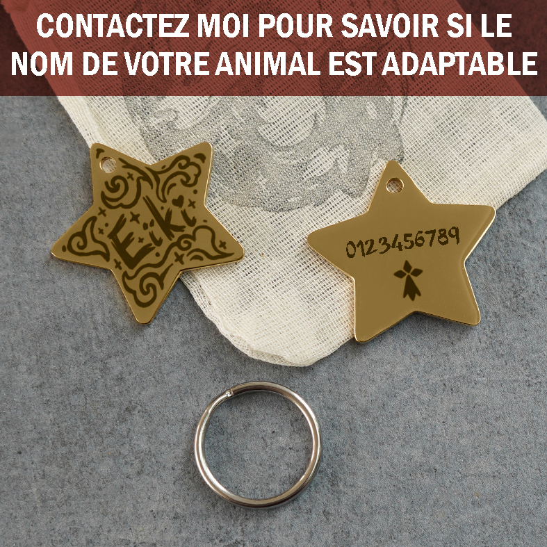 medaille etoile3