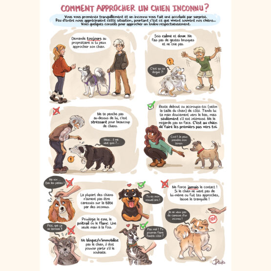 Fiche A4 • Comment Approcher Un Chien Inconnu ? – Image 2
