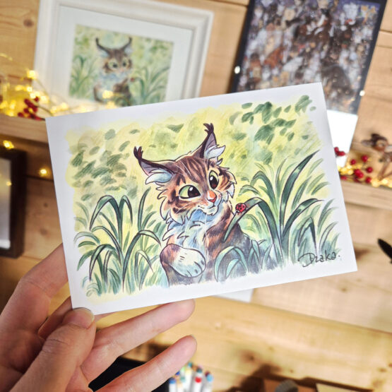 Carte • Meiko Coccinelle