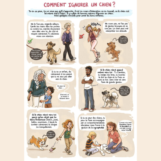 Fiche A4 • Comment Ignorer Un Chien ? – Image 2