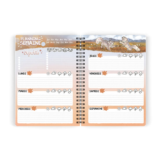 Agenda • Renards Polaires – Image 5