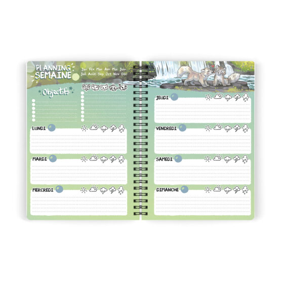 Agenda • Renards Polaires – Image 6