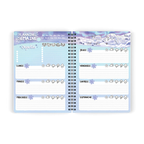 Agenda • Renards Polaires – Image 7
