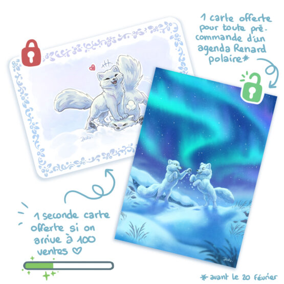 Agenda • Renards Polaires – Image 11